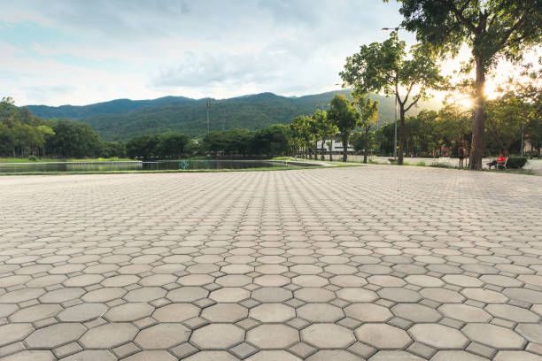 Best Residential Paver Driveway  in Ruckersville, VA