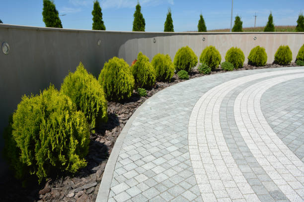 Best Local Driveway Pavers  in Ruckersville, VA